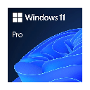 WINDOWS 11 PRO - LICENCIA OEM - 1 LICENCIA